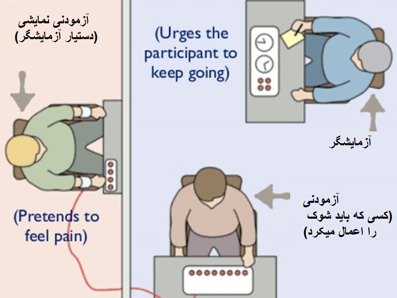 milgram disin